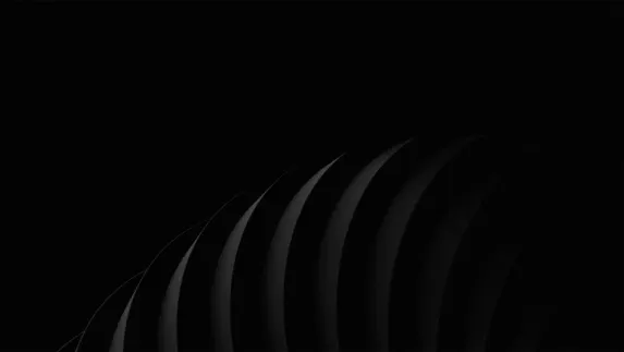 Starda Casino Stuðningur